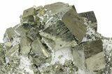 Impressive Cubic Pyrite Crystals with Quartz & Sphalerite - Peru #351190-2